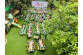 TẾT HÀN THỰC 2024